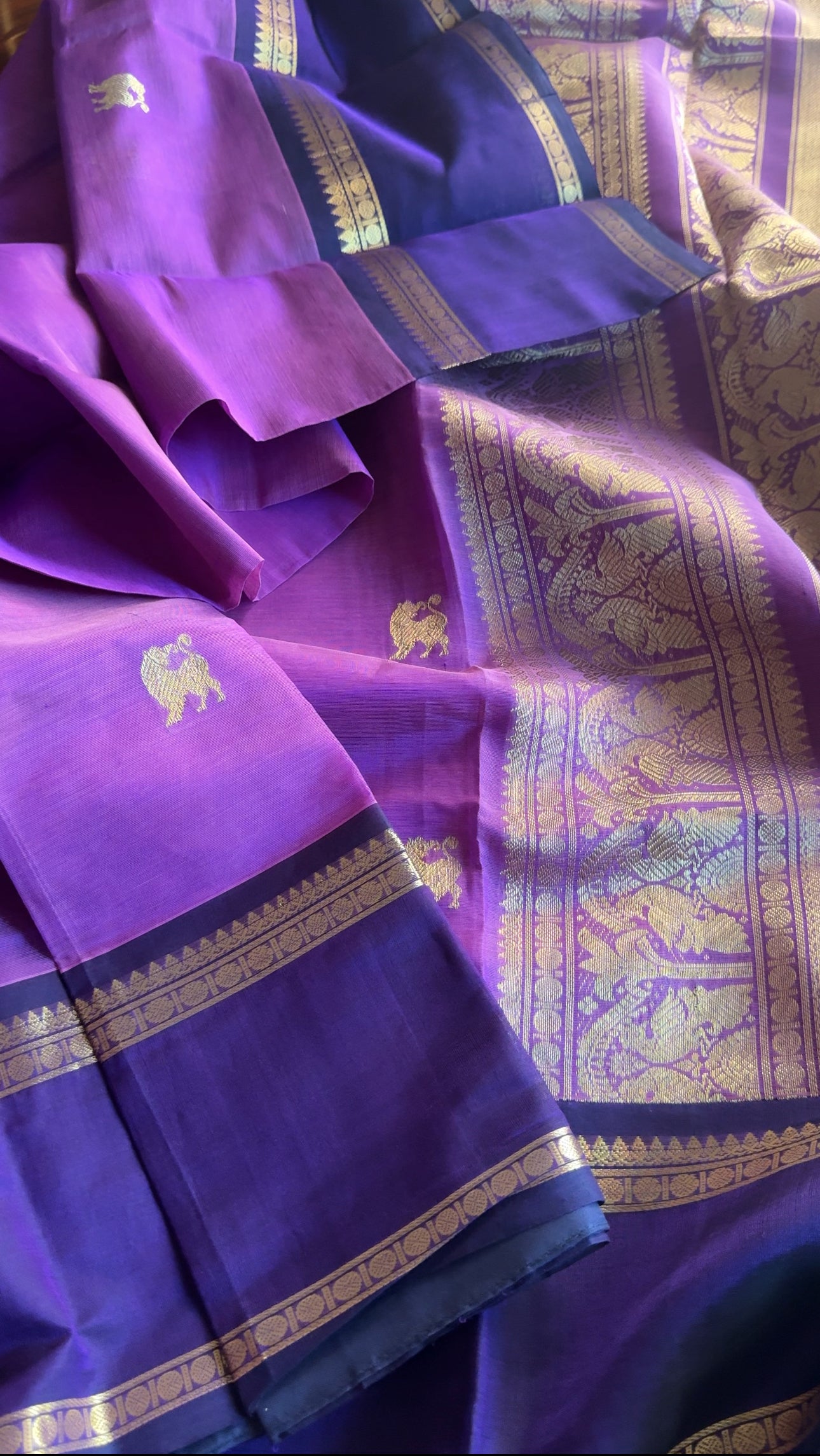 Zari Silk Cotton